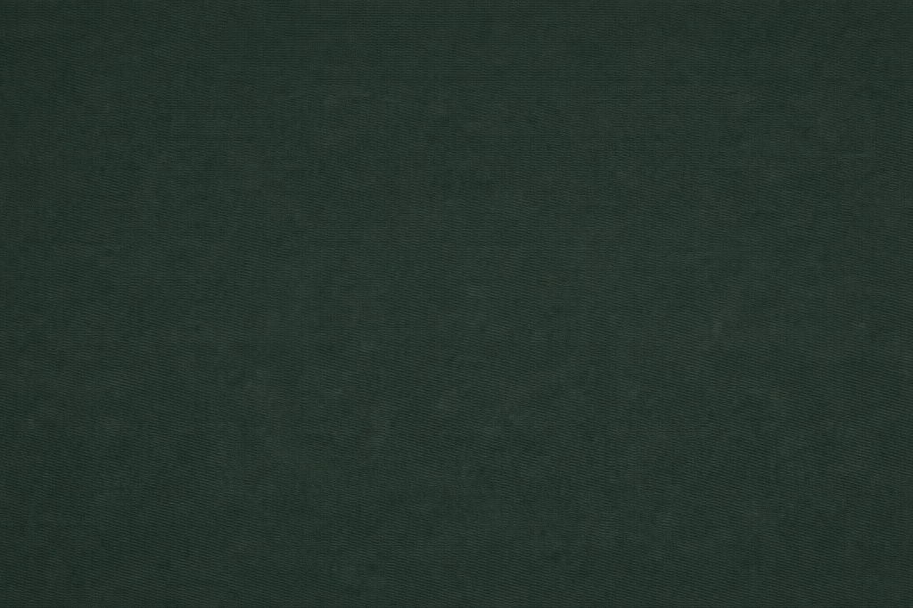 Capital Times masthead